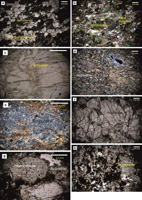 The Influence of Mafic and Oculite Minerals on Landscapes and Ecosystems